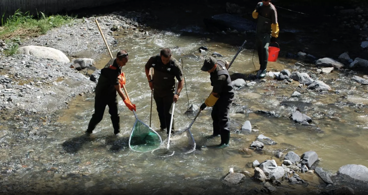 La inversió en personal representa una de les partides més importants.